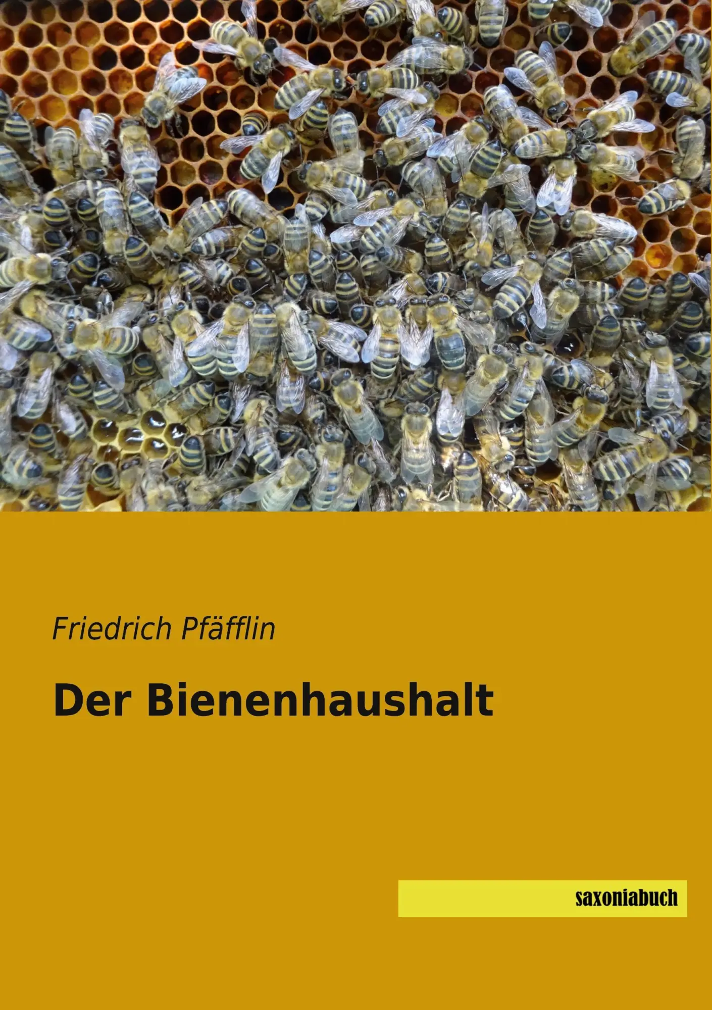 Cover: 9783957707321 | Der Bienenhaushalt | Friedrich Pfäfflin | Taschenbuch | 160 S. | 2021