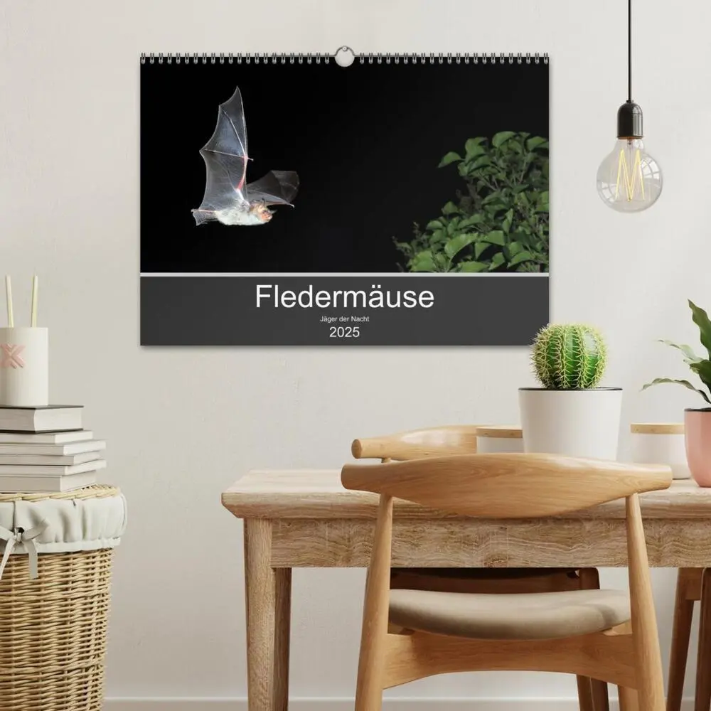 Bild: 9783435347421 | Fledermäuse - Jäger der Nacht (Wandkalender 2025 DIN A3 quer),...