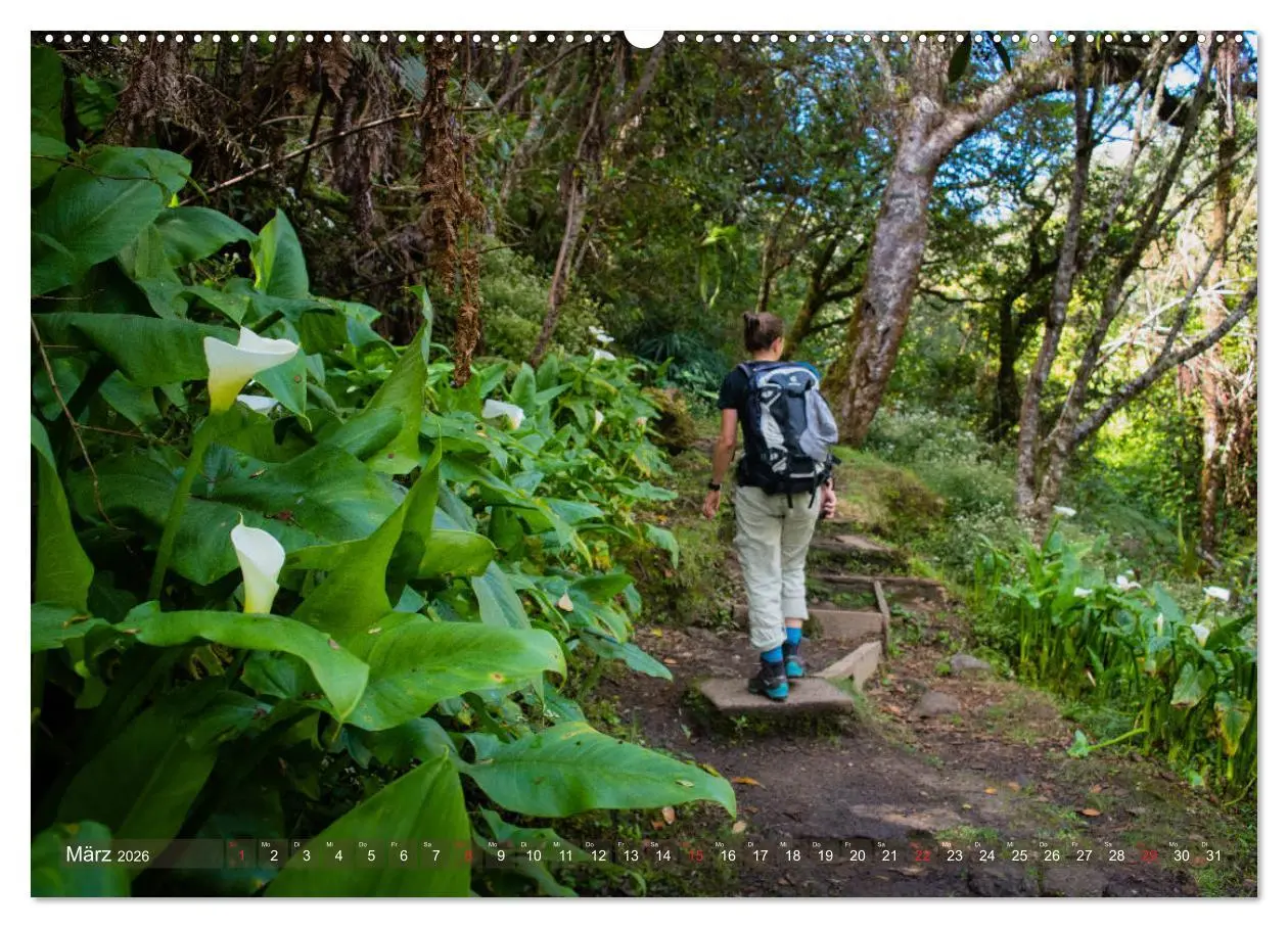 Bild: 9783457677421 | La Réunion - Impressionen von Rolf Dietz (hochwertiger Premium...