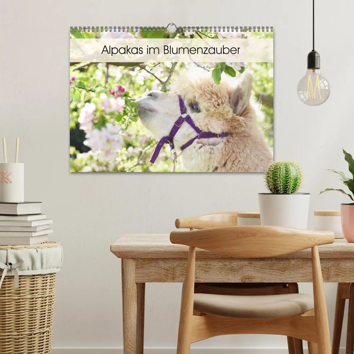 Bild: 9783457817421 | Alpakas im Blumenzauber (Wandkalender 2026 DIN A3 quer), CALVENDO...