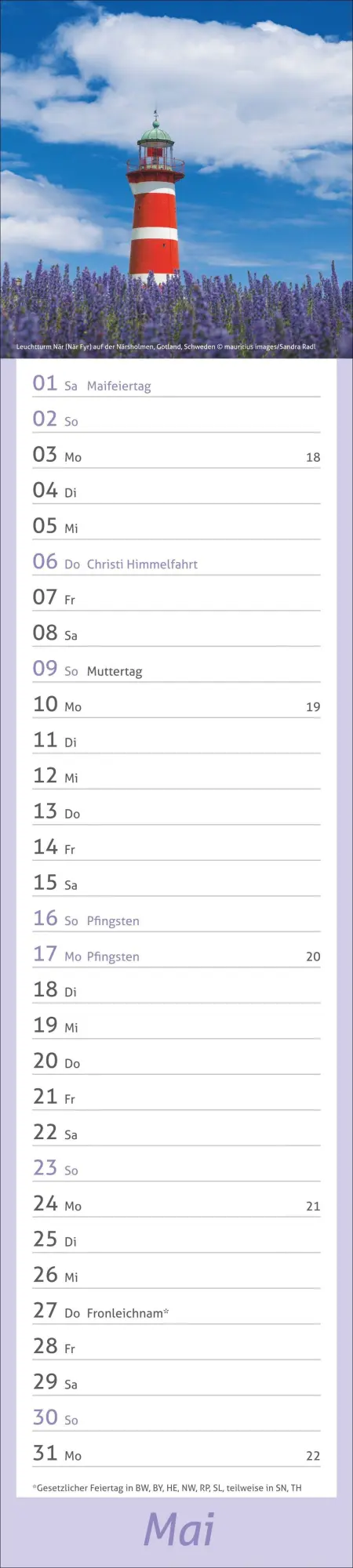Bild: 9783756417421 | times&amp;more Leuchttürme Langplaner 2027 | Heye | Kalender | 13 S.