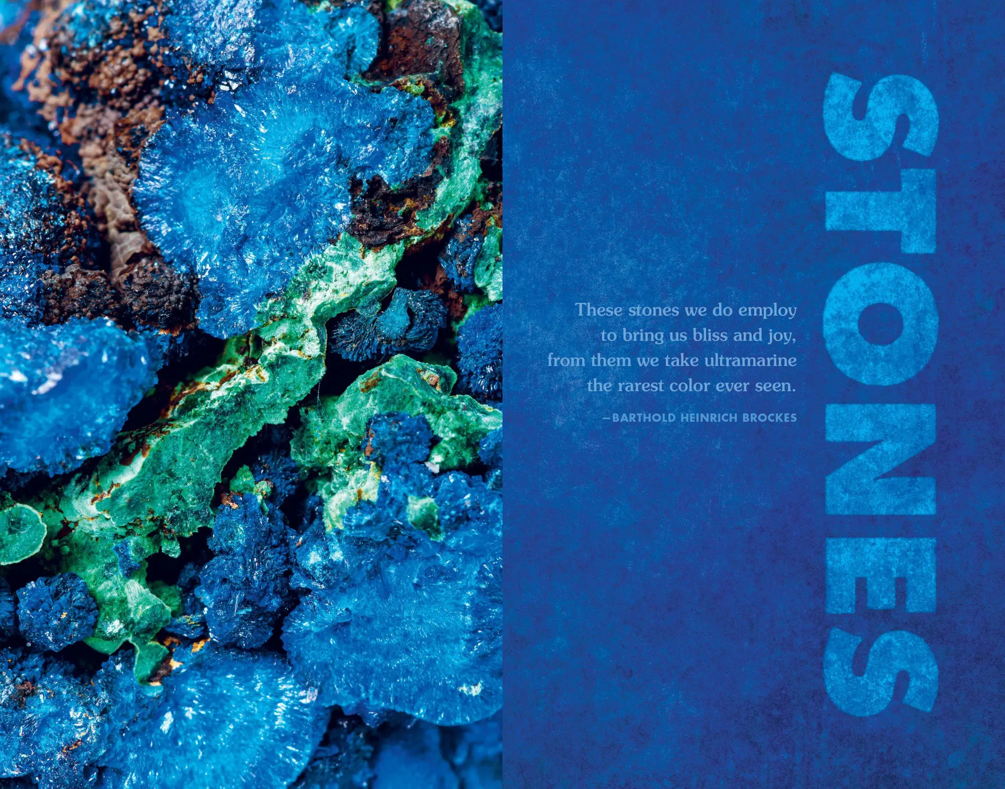 Bild: 9781615197521 | Blue | In Search of Nature's Rarest Color | Kai Kupferschmidt | Buch