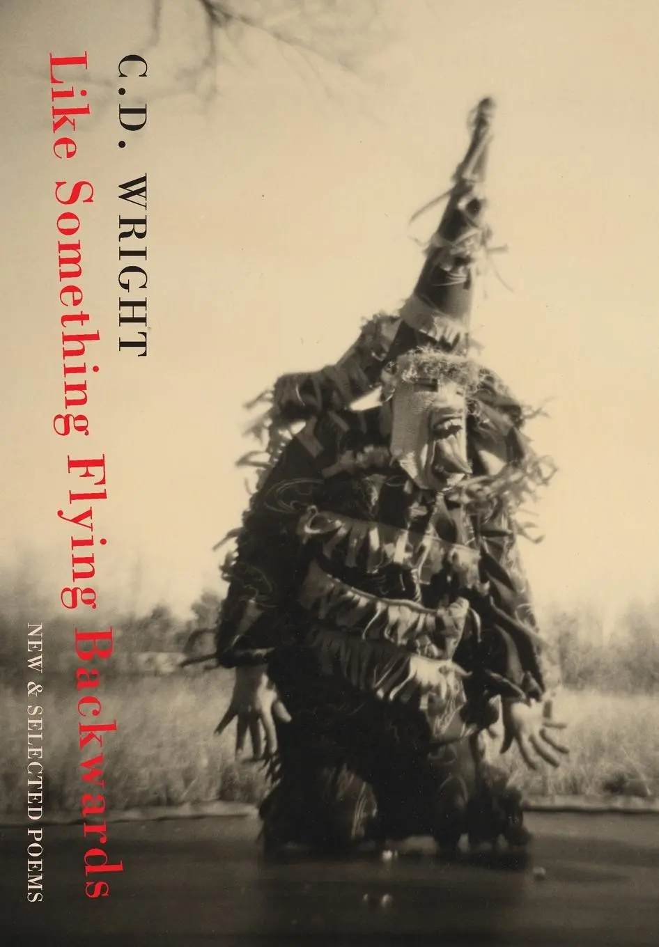 Cover: 9781852247621 | Like Something Flying Backwards | New and Selected Poems | Wright