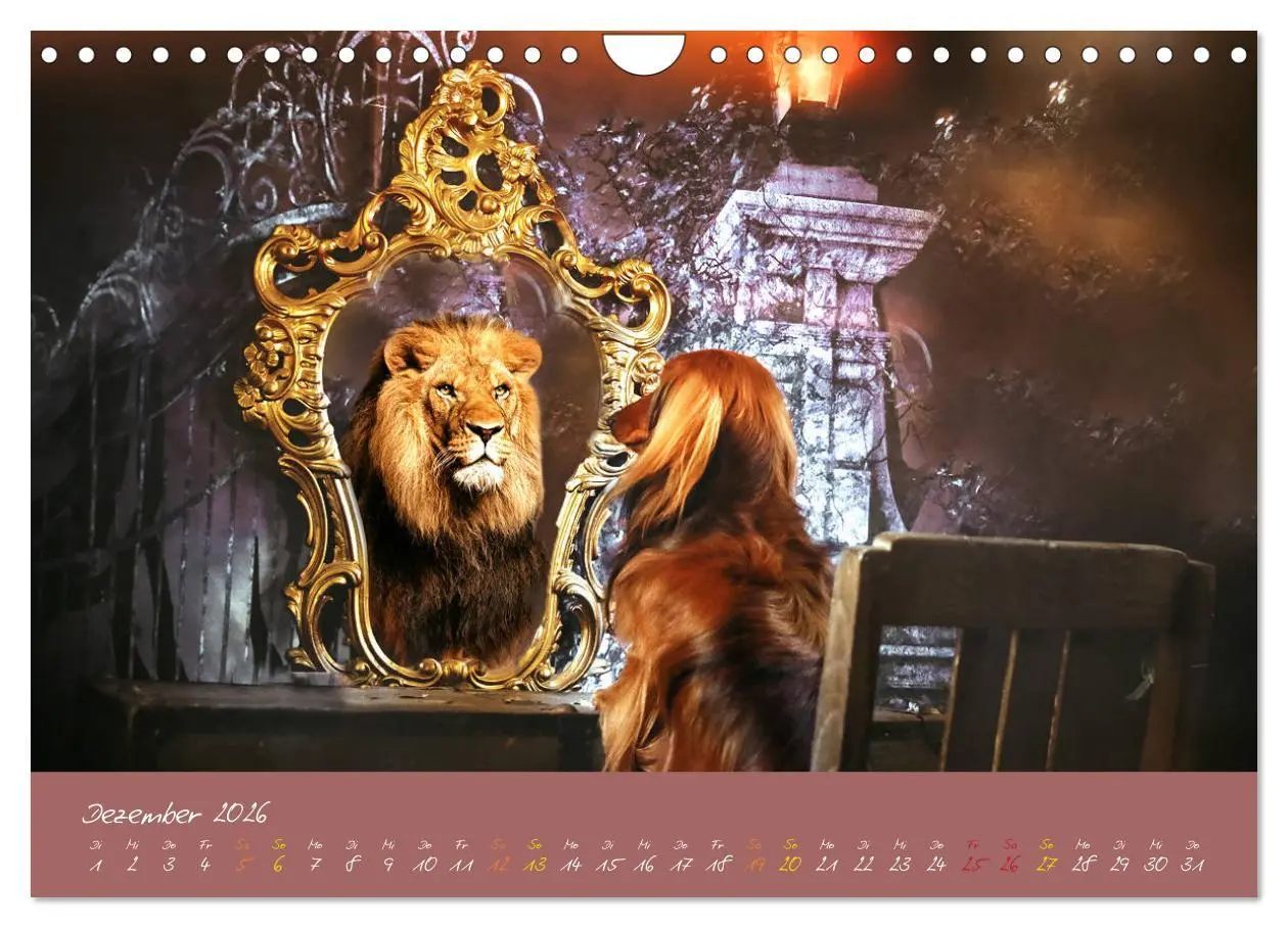 Bild: 9783457277621 | Typisch Dackel 2026 (Wandkalender 2026 DIN A4 quer), CALVENDO...