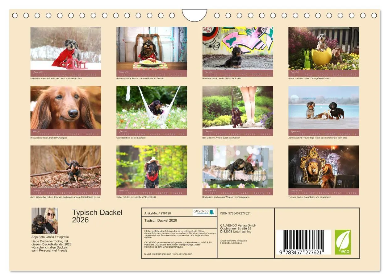 Bild: 9783457277621 | Typisch Dackel 2026 (Wandkalender 2026 DIN A4 quer), CALVENDO...
