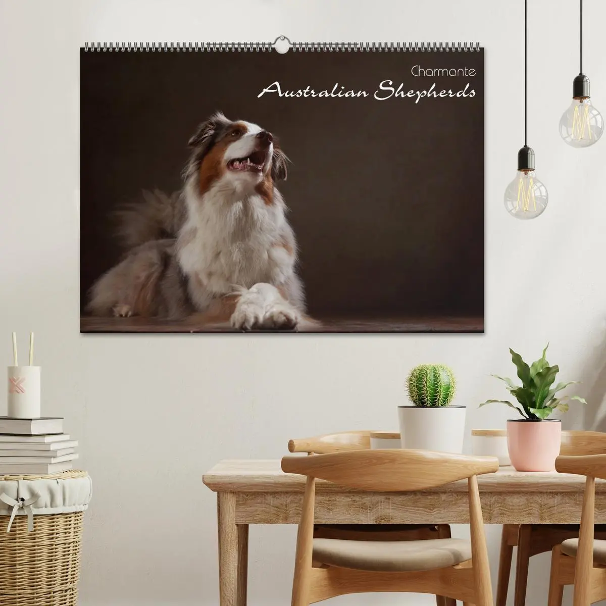 Bild: 9783457897621 | Charmante Australian Shepherds (Wandkalender 2026 DIN A2 quer),...