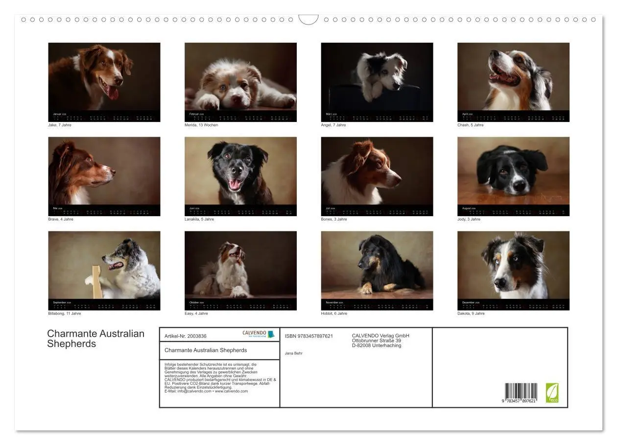Bild: 9783457897621 | Charmante Australian Shepherds (Wandkalender 2026 DIN A2 quer),...