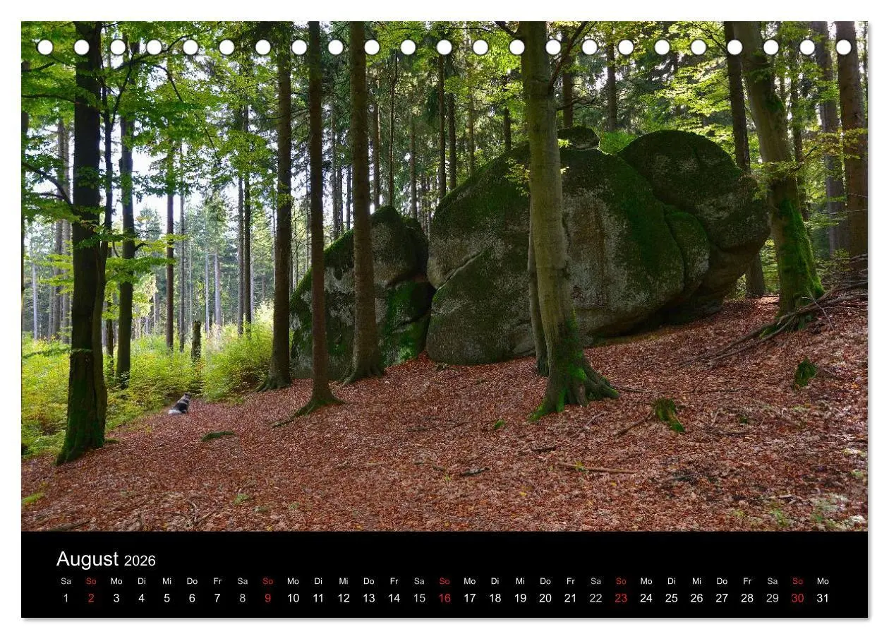 Bild: 9783516117721 | Rund um den Ochsenkopf (Tischkalender 2026 DIN A5 quer), CALVENDO...