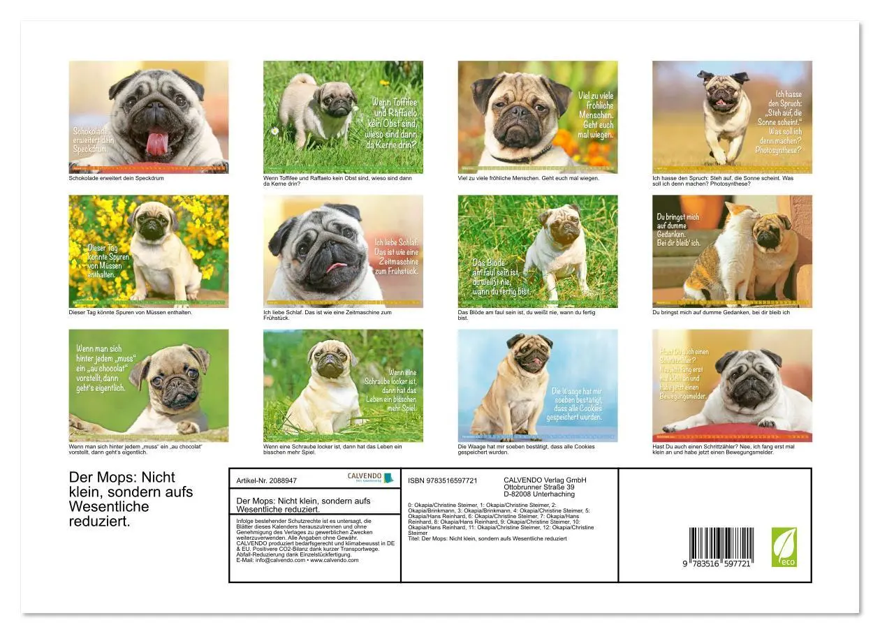 Bild: 9783516597721 | Der Mops: Nicht klein, sondern aufs Wesentliche reduziert....