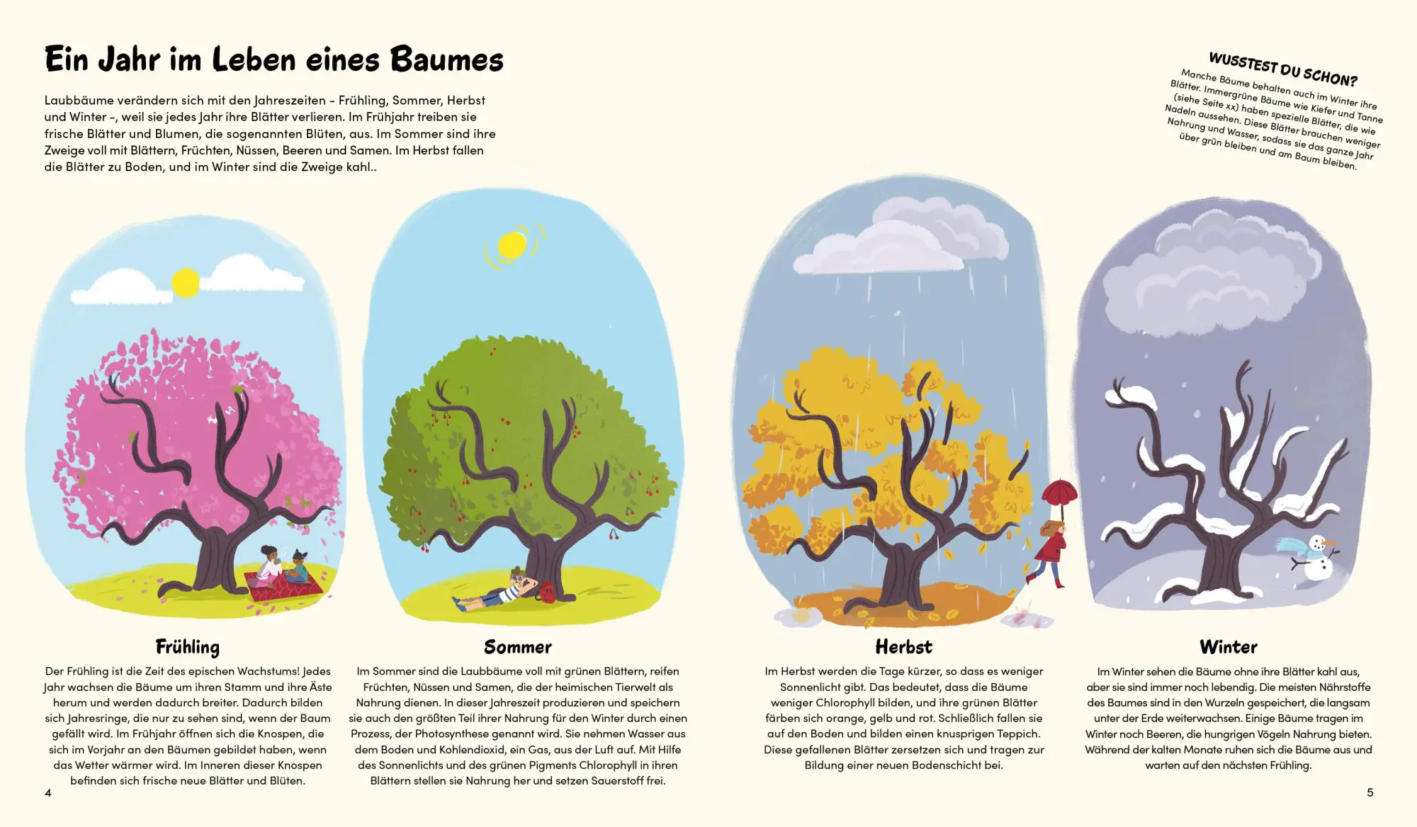 Bild: 9783967047721 | Das kleine Buch der Bäume | Claire Philip | Buch | 48 S. | Deutsch