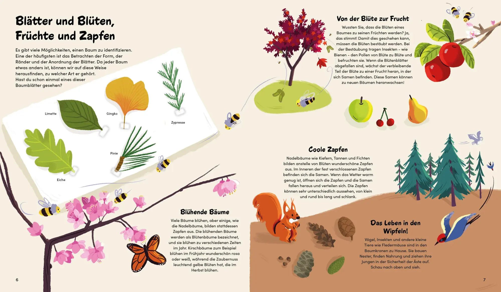 Bild: 9783967047721 | Das kleine Buch der Bäume | Claire Philip | Buch | 48 S. | Deutsch