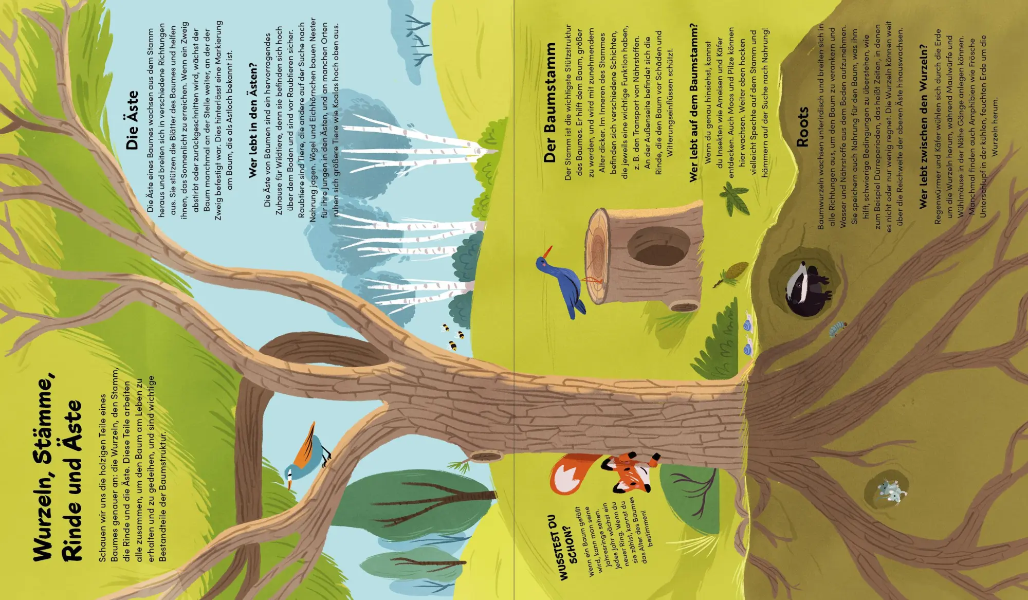 Bild: 9783967047721 | Das kleine Buch der Bäume | Claire Philip | Buch | 48 S. | Deutsch