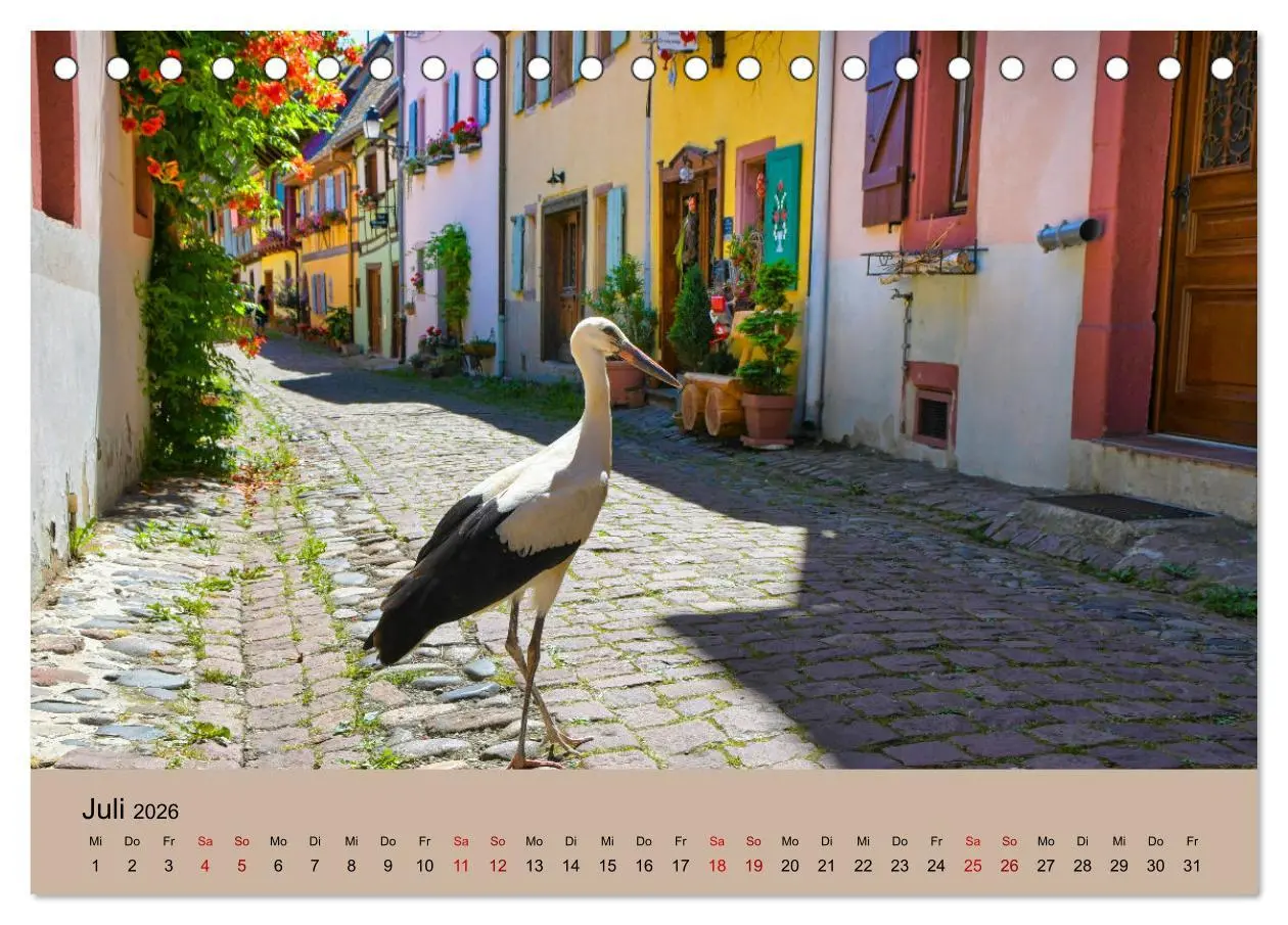 Bild: 9783457567821 | Der Storchenkalender (Tischkalender 2026 DIN A5 quer), CALVENDO...
