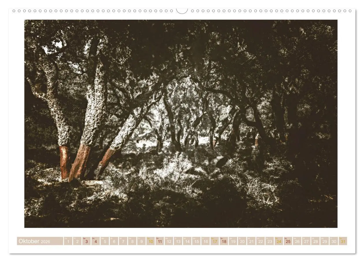 Bild: 9783457758021 | Sardinien Impressionen (hochwertiger Premium Wandkalender 2026 DIN...