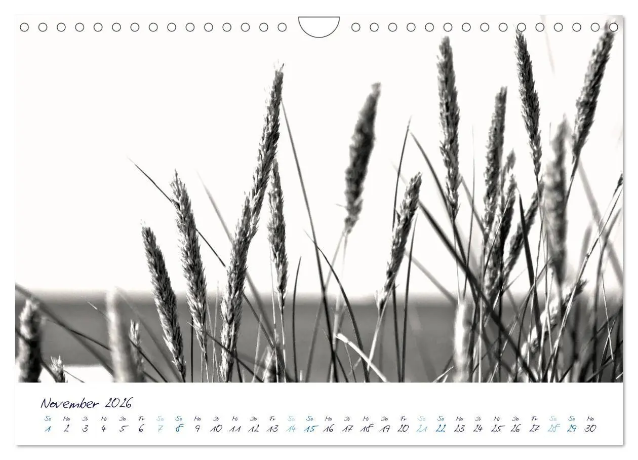 Bild: 9783516228021 | Meeresbilder - Nordsee-Impressionen (Wandkalender 2026 DIN A4...