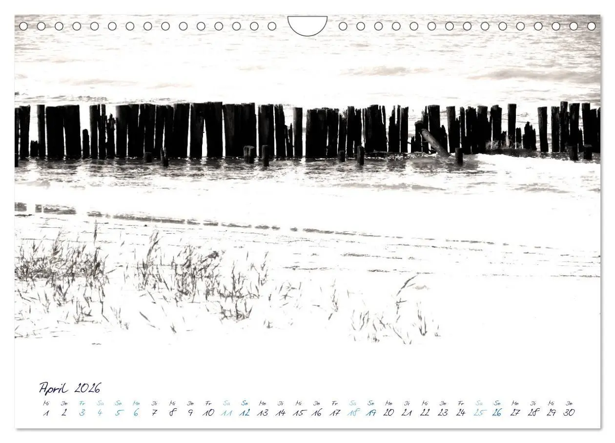 Bild: 9783516228021 | Meeresbilder - Nordsee-Impressionen (Wandkalender 2026 DIN A4...