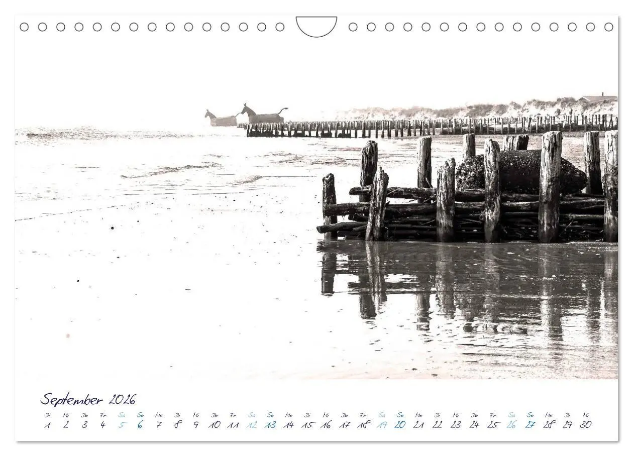 Bild: 9783516228021 | Meeresbilder - Nordsee-Impressionen (Wandkalender 2026 DIN A4...