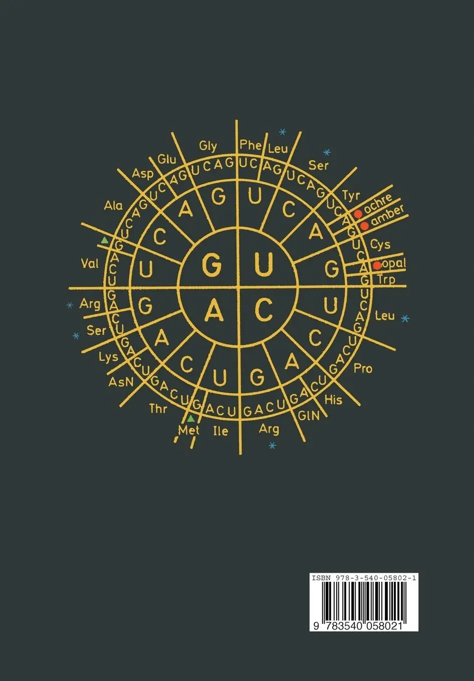 Rückseite: 9783540058021 | Klassische und molekulare Genetik | R. Hausmann (u. a.) | Taschenbuch