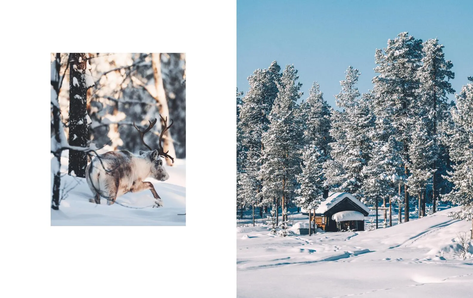Bild: 9783833888021 | Nordic Feeling | Eine magische Foto-Reise durch Schweden | Anna Heupel