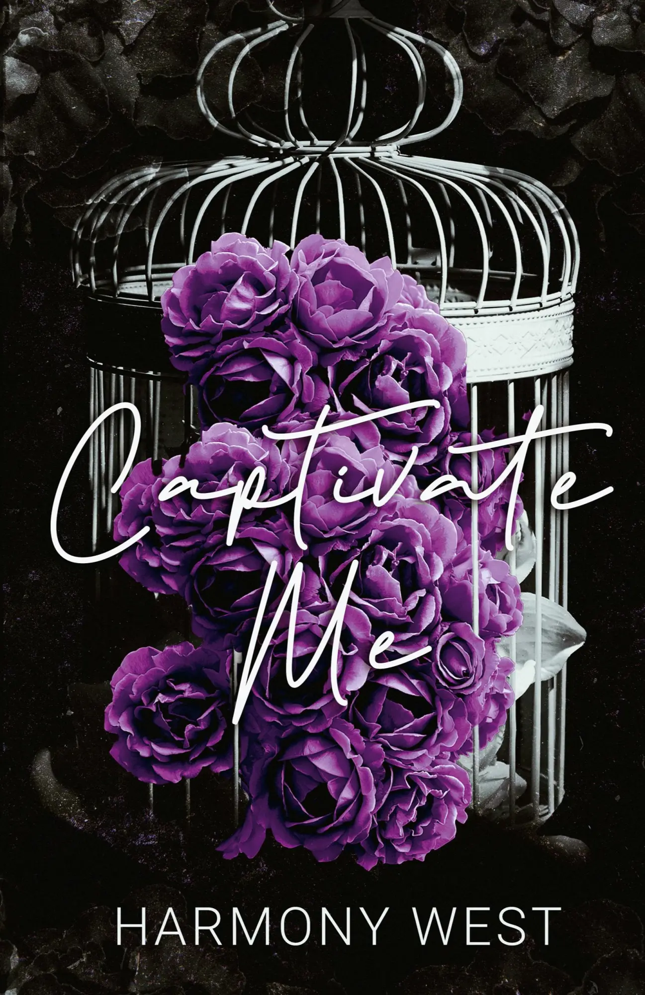 Cover: 9798988118121 | Captivate Me | Harmony West | Taschenbuch | Englisch | 2023 Cover: 9798988118121 | Captivate Me | Harmony West | Taschenbuch | Englisch | 2023