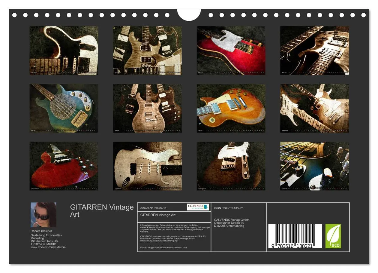 Bild: 9783516138221 | GITARREN Vintage Art (Wandkalender 2026 DIN A4 quer), CALVENDO...
