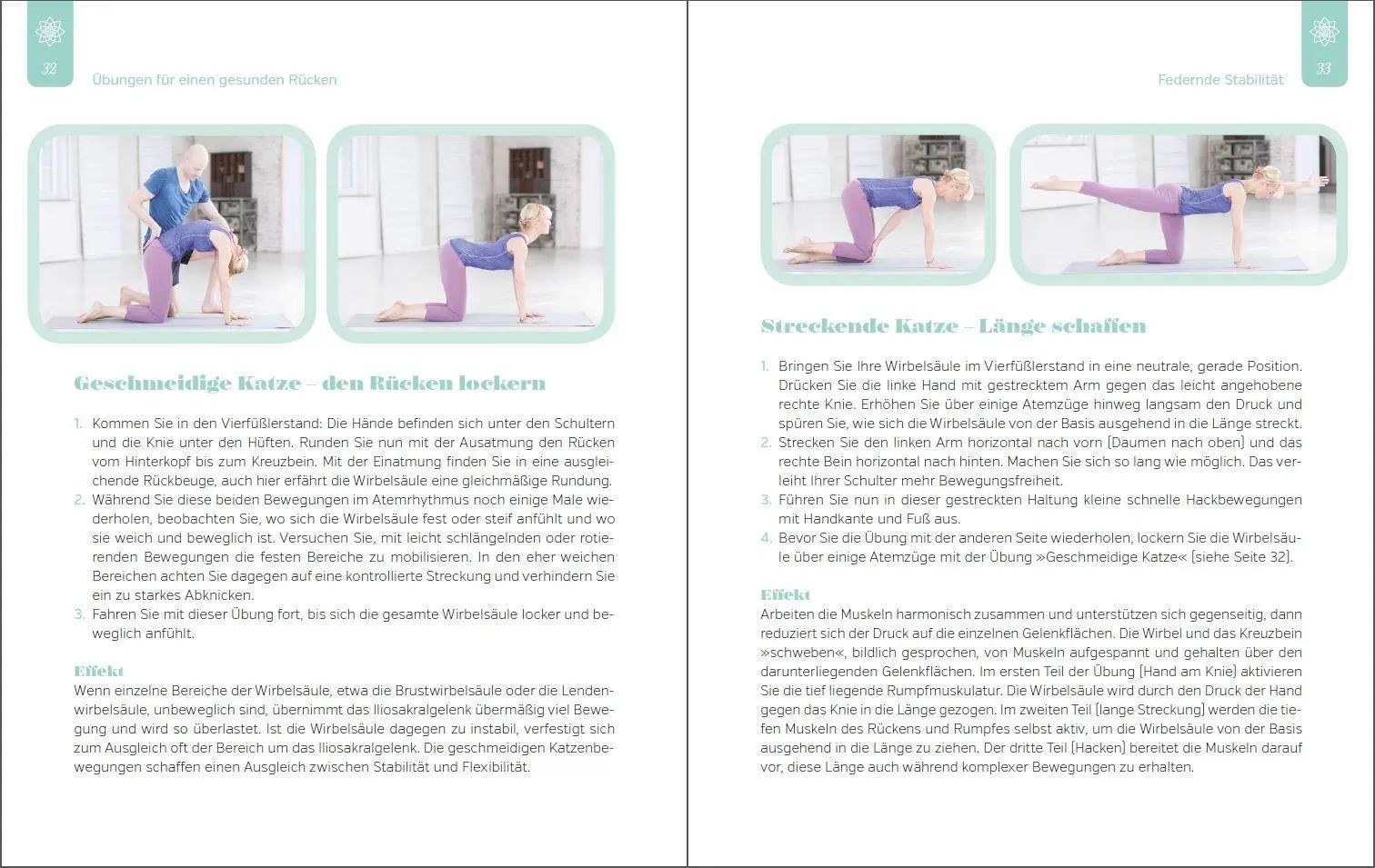 Bild: 9783742308221 | Der Yoga-Doc | Ronald Steiner | Taschenbuch | 176 S. | Deutsch | 2019