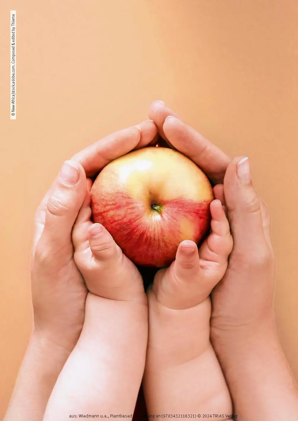 Bild: 9783432118321 | Plantbased von Anfang an: Baby &amp; Kleinkind, Schwangerschaft &amp;...