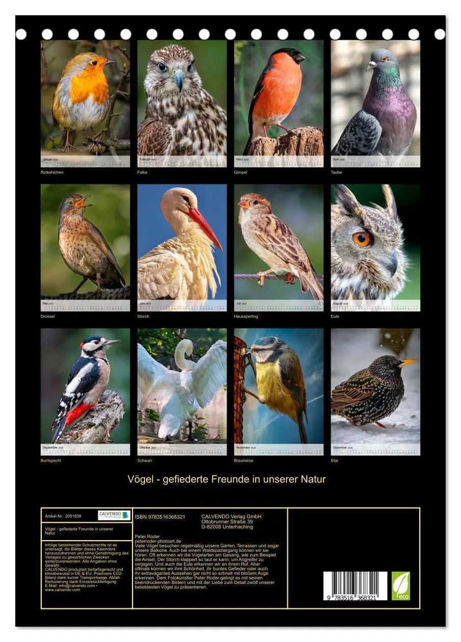 Bild: 9783516368321 | Vögel - gefiederte Freunde in unserer Natur (Tischkalender 2026 DIN...