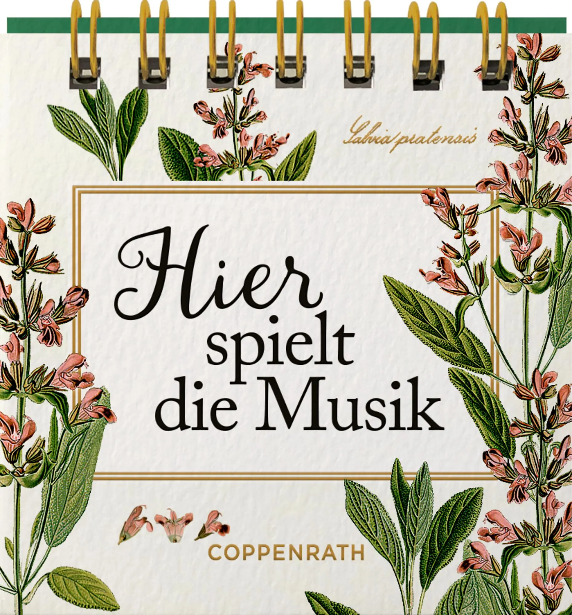 Bild: 9783649648321 | Hier spielt die Musik | Taschenbuch | 24 S. | Deutsch | 2024 Bild: 9783649648321 | Hier spielt die Musik | Taschenbuch | 24 S. | Deutsch | 2024