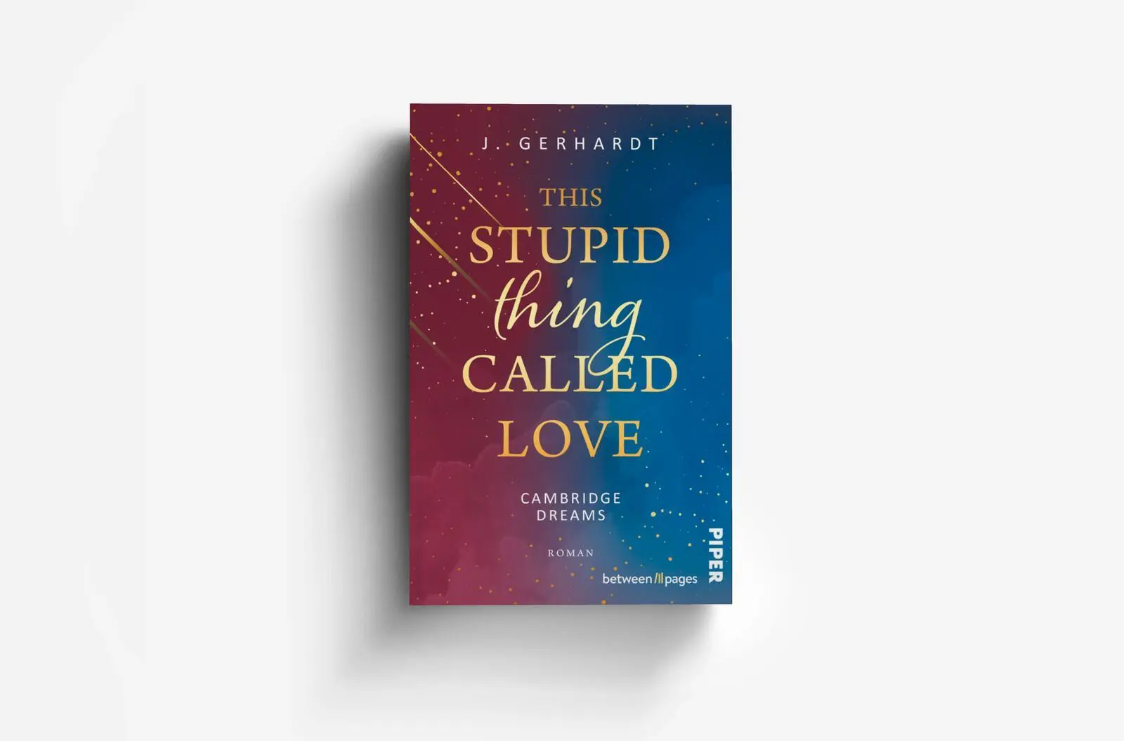 Bild: 9783492508421 | This Stupid Thing Called Love | J. Gerhardt | Taschenbuch | 304 S.