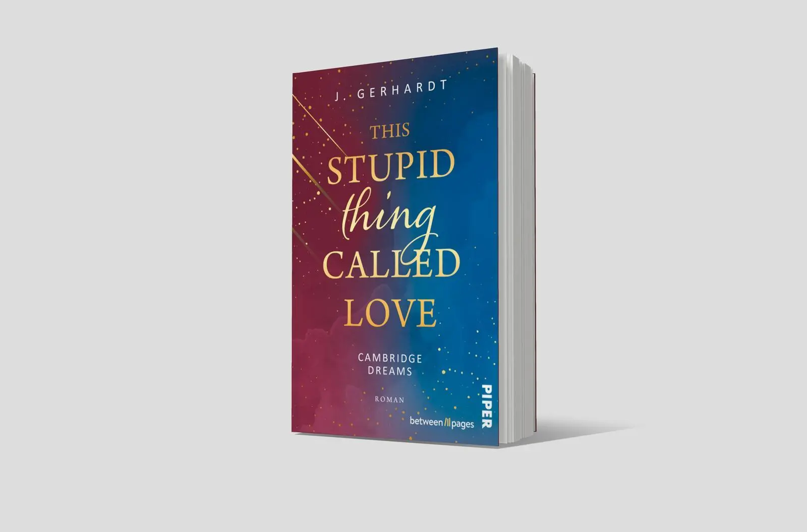 Bild: 9783492508421 | This Stupid Thing Called Love | J. Gerhardt | Taschenbuch | 304 S.