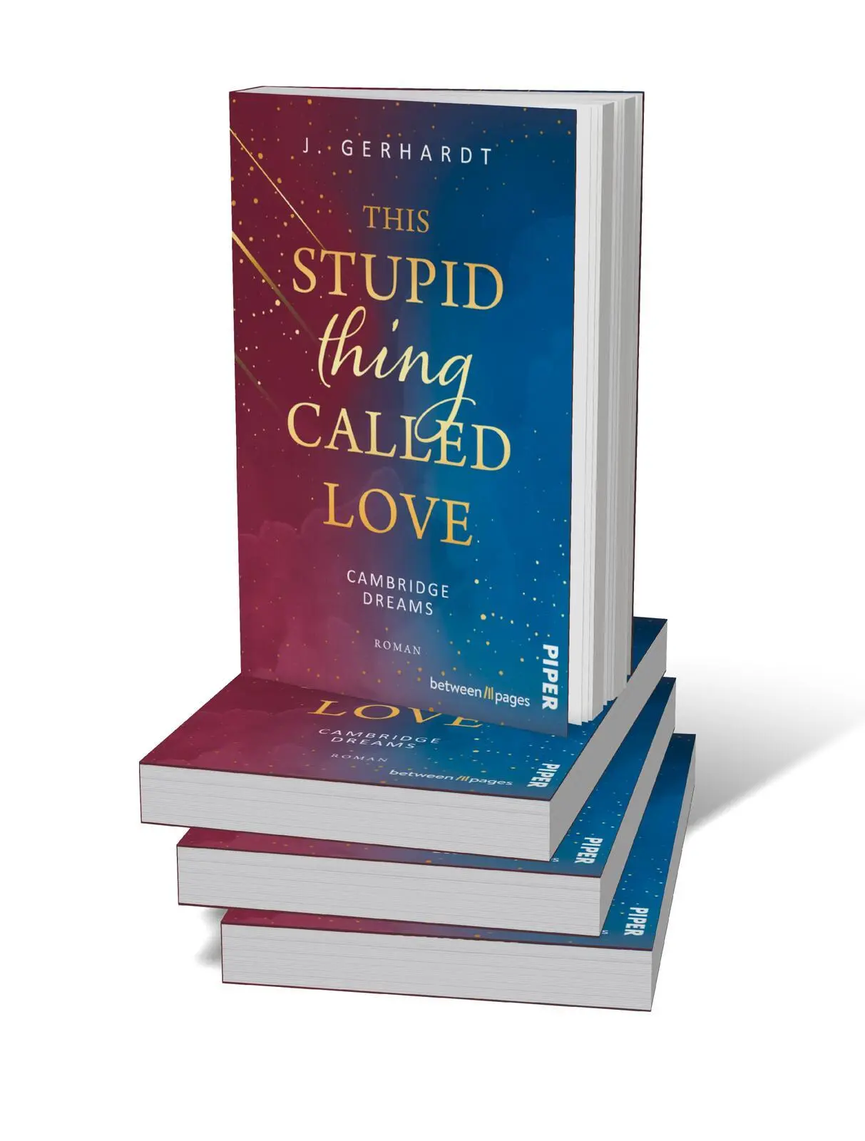 Bild: 9783492508421 | This Stupid Thing Called Love | J. Gerhardt | Taschenbuch | 304 S.