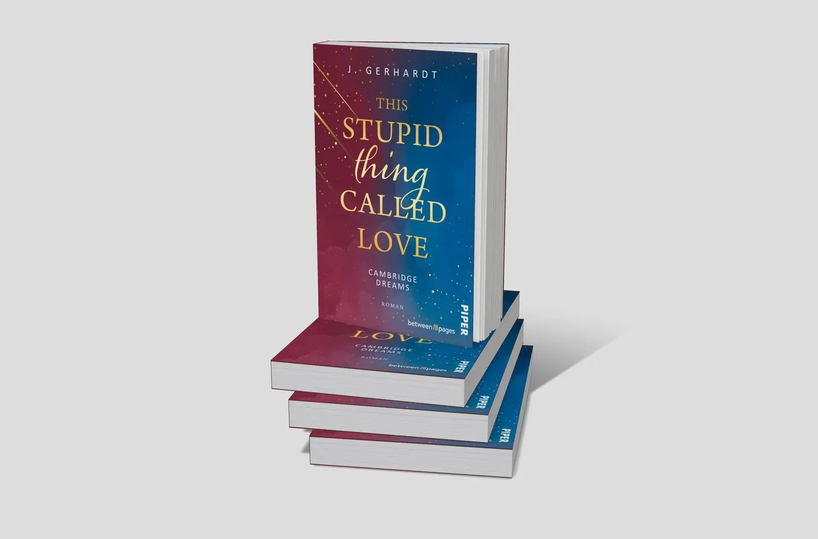 Bild: 9783492508421 | This Stupid Thing Called Love | J. Gerhardt | Taschenbuch | 304 S.