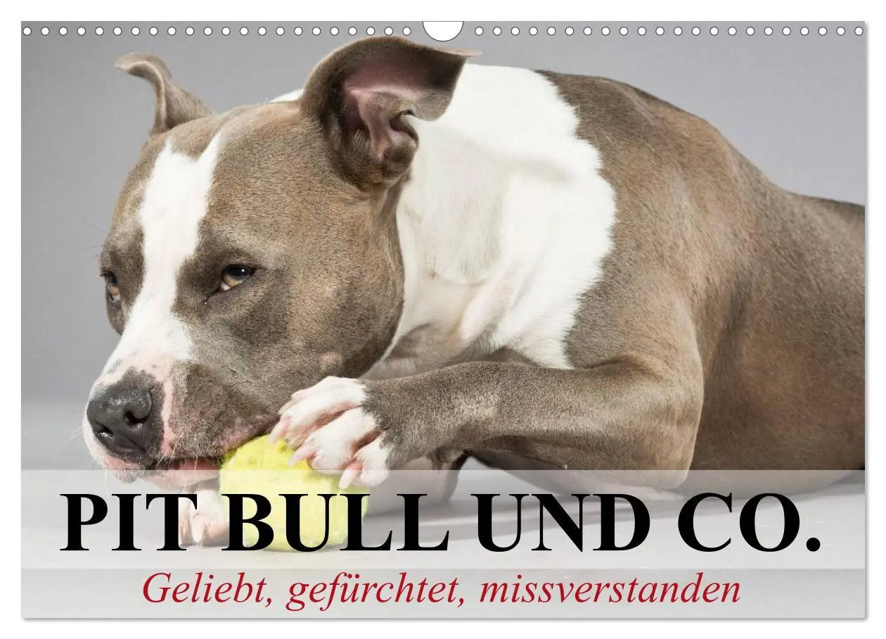 Cover: 9783516118421 | Pit Bull und Co. - Geliebt, gefürchtet, missverstanden...