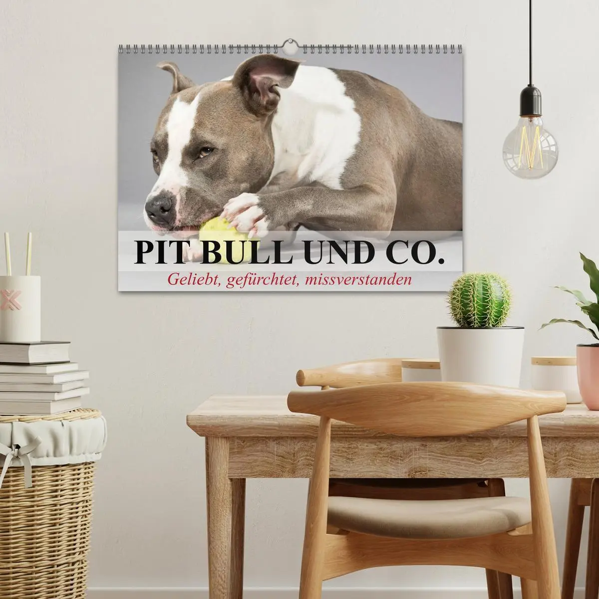 Bild: 9783516118421 | Pit Bull und Co. - Geliebt, gefürchtet, missverstanden...