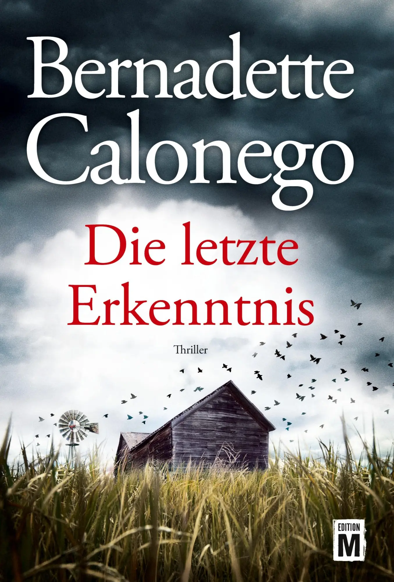 Cover: 9781542048521 | Die letzte Erkenntnis | Bernadette Calonego | Taschenbuch | 396 S.