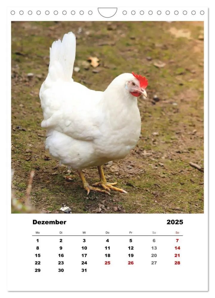Bild: 9783435928521 | Bauernhoftiere, ganz nah dran (Wandkalender 2025 DIN A4 hoch),...
