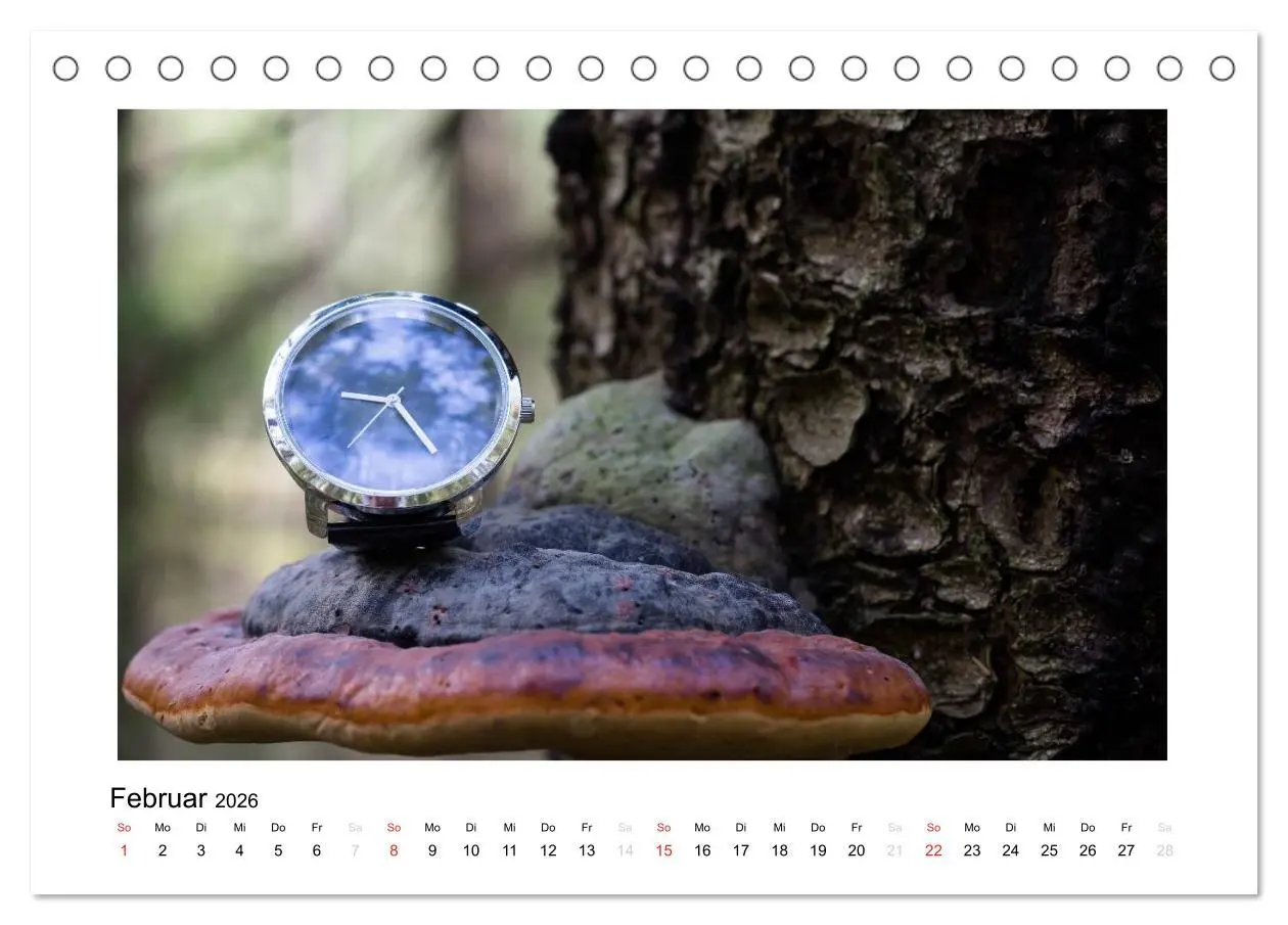 Bild: 9783457948521 | Uhren aus aller Welt (Tischkalender 2026 DIN A5 quer), CALVENDO...