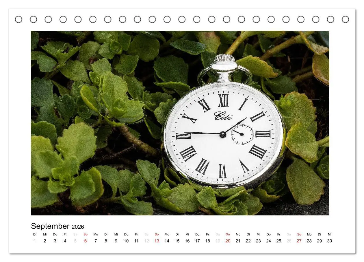 Bild: 9783457948521 | Uhren aus aller Welt (Tischkalender 2026 DIN A5 quer), CALVENDO...