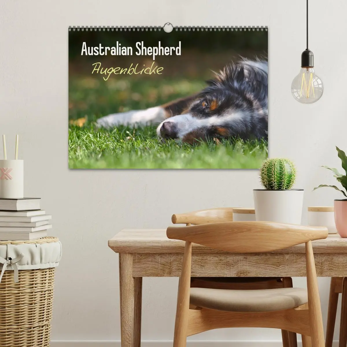 Bild: 9783516038521 | Australian Shepherd - Augenblicke (Wandkalender 2026 DIN A3 quer),...