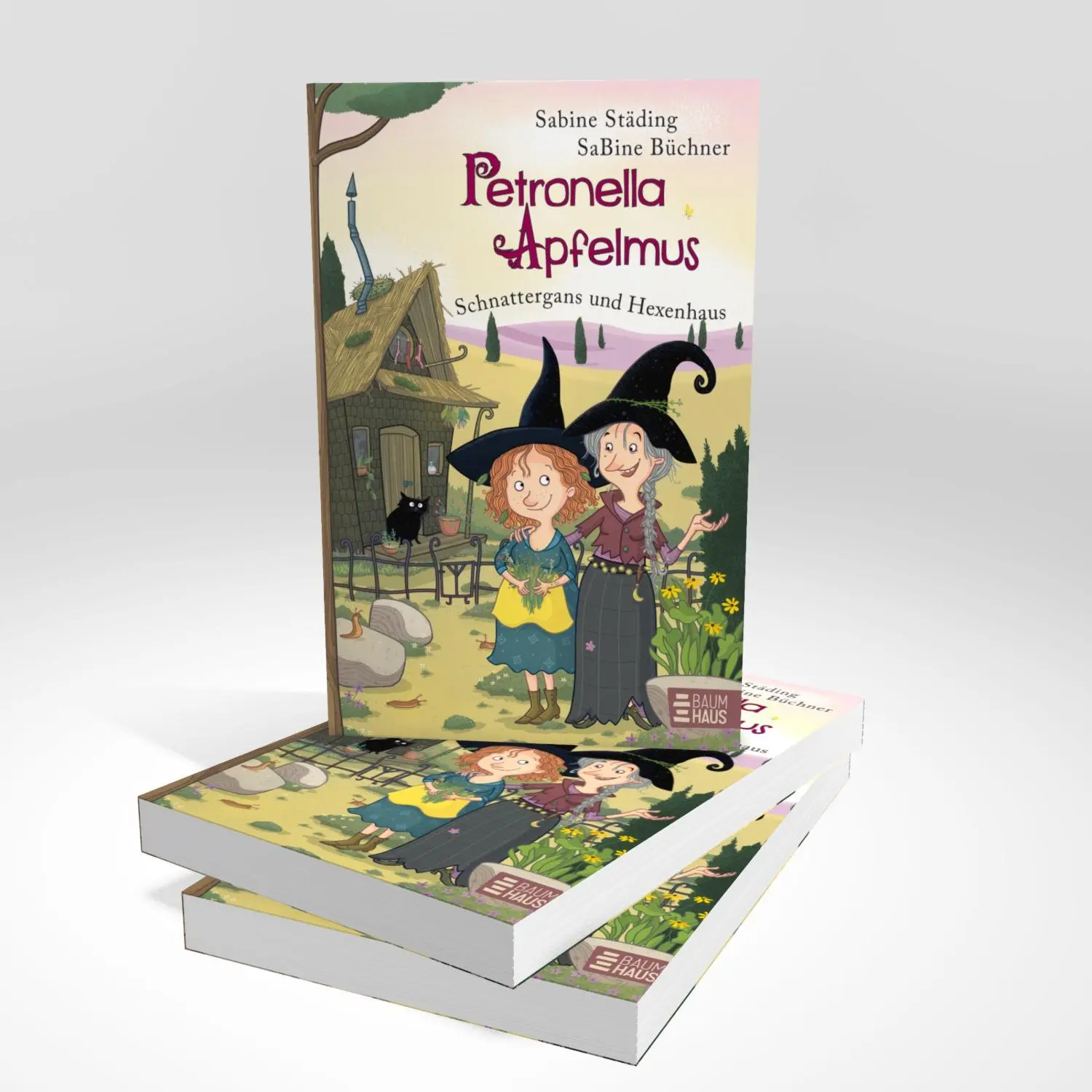 Bild: 9783833908521 | Petronella Apfelmus - Schnattergans und Hexenhaus (Sonderausgabe)