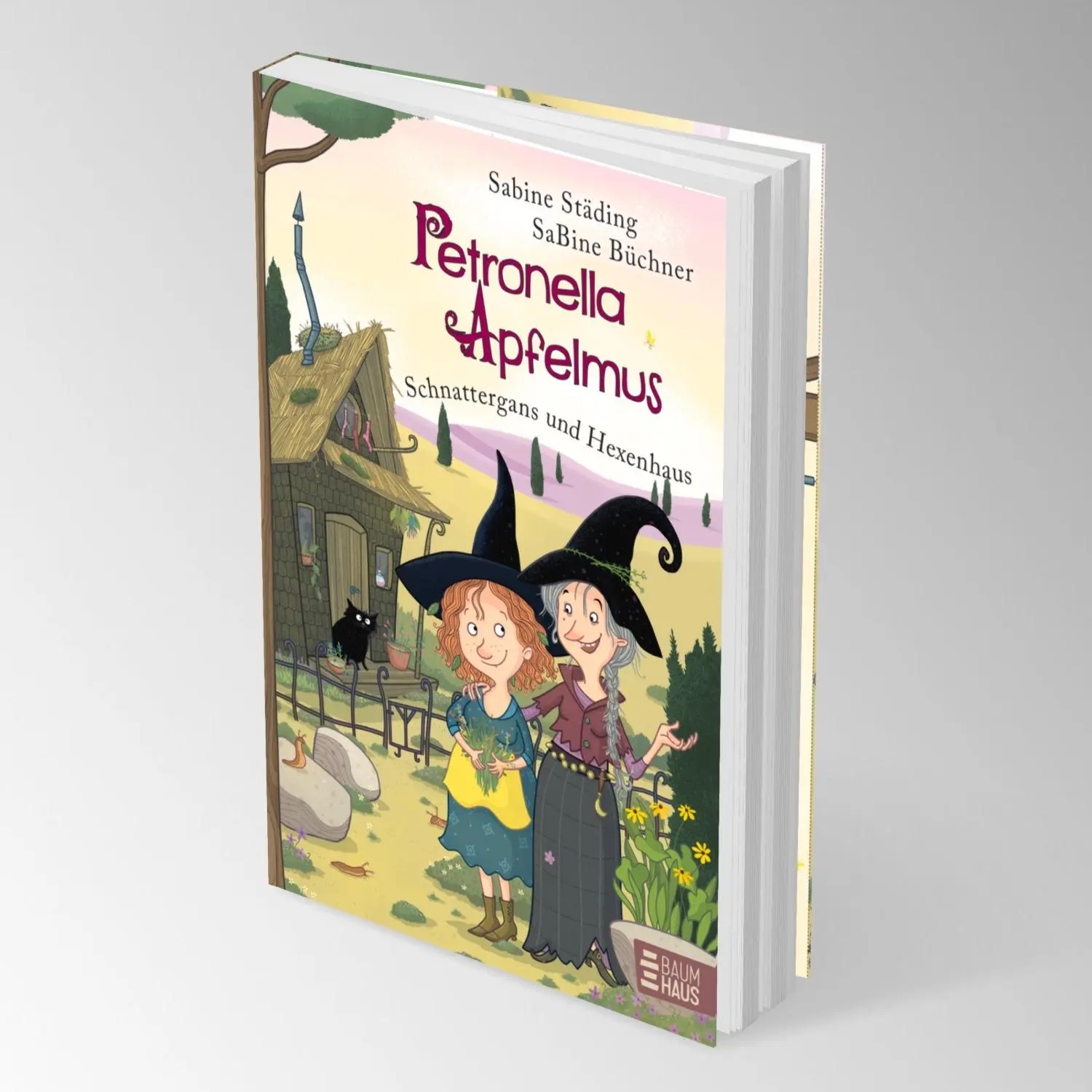 Bild: 9783833908521 | Petronella Apfelmus - Schnattergans und Hexenhaus (Sonderausgabe)