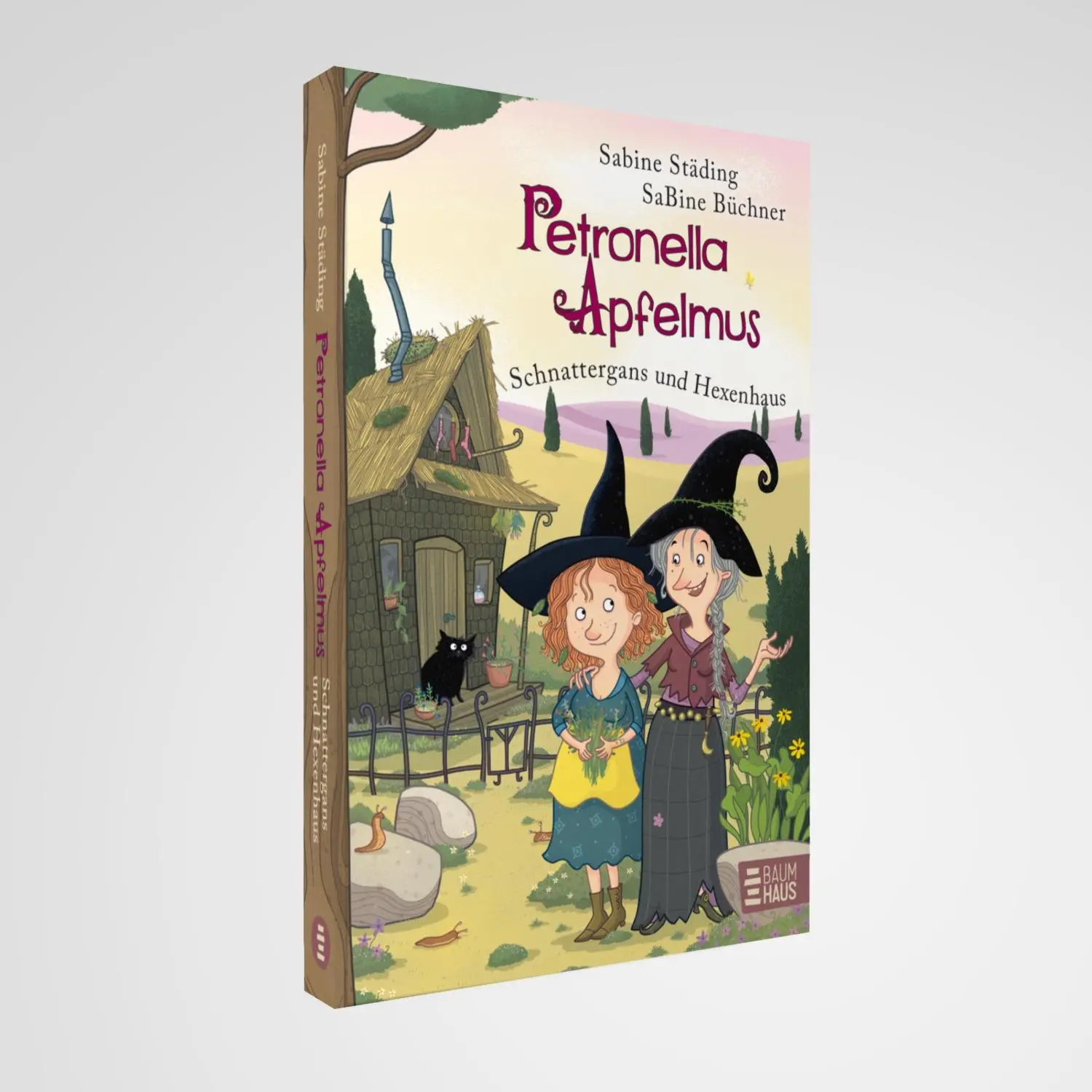 Bild: 9783833908521 | Petronella Apfelmus - Schnattergans und Hexenhaus (Sonderausgabe)