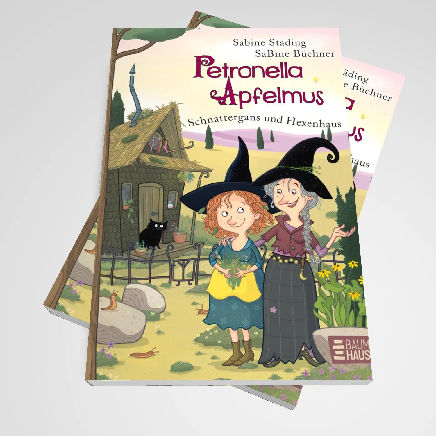 Bild: 9783833908521 | Petronella Apfelmus - Schnattergans und Hexenhaus (Sonderausgabe)