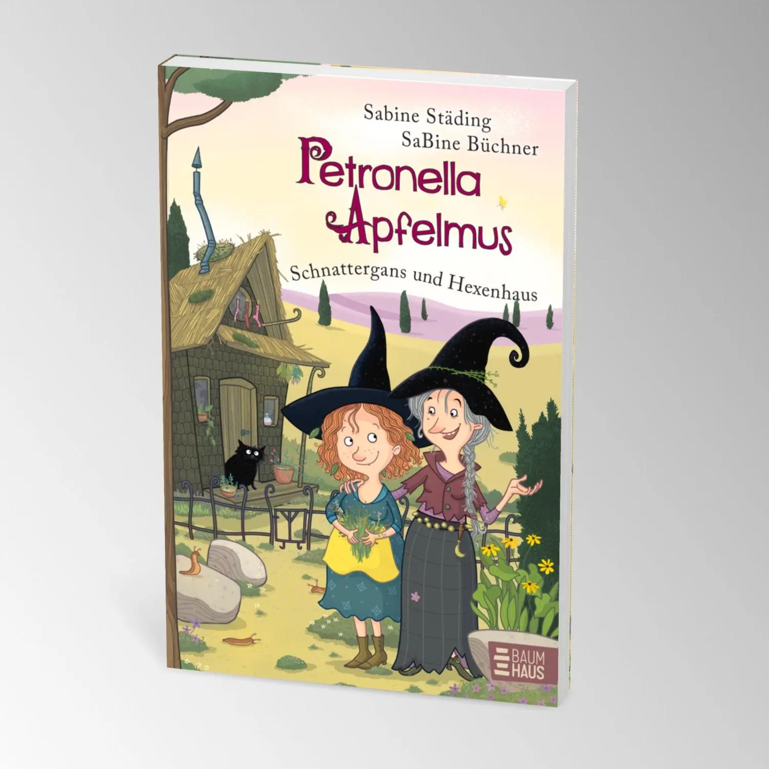 Bild: 9783833908521 | Petronella Apfelmus - Schnattergans und Hexenhaus (Sonderausgabe)