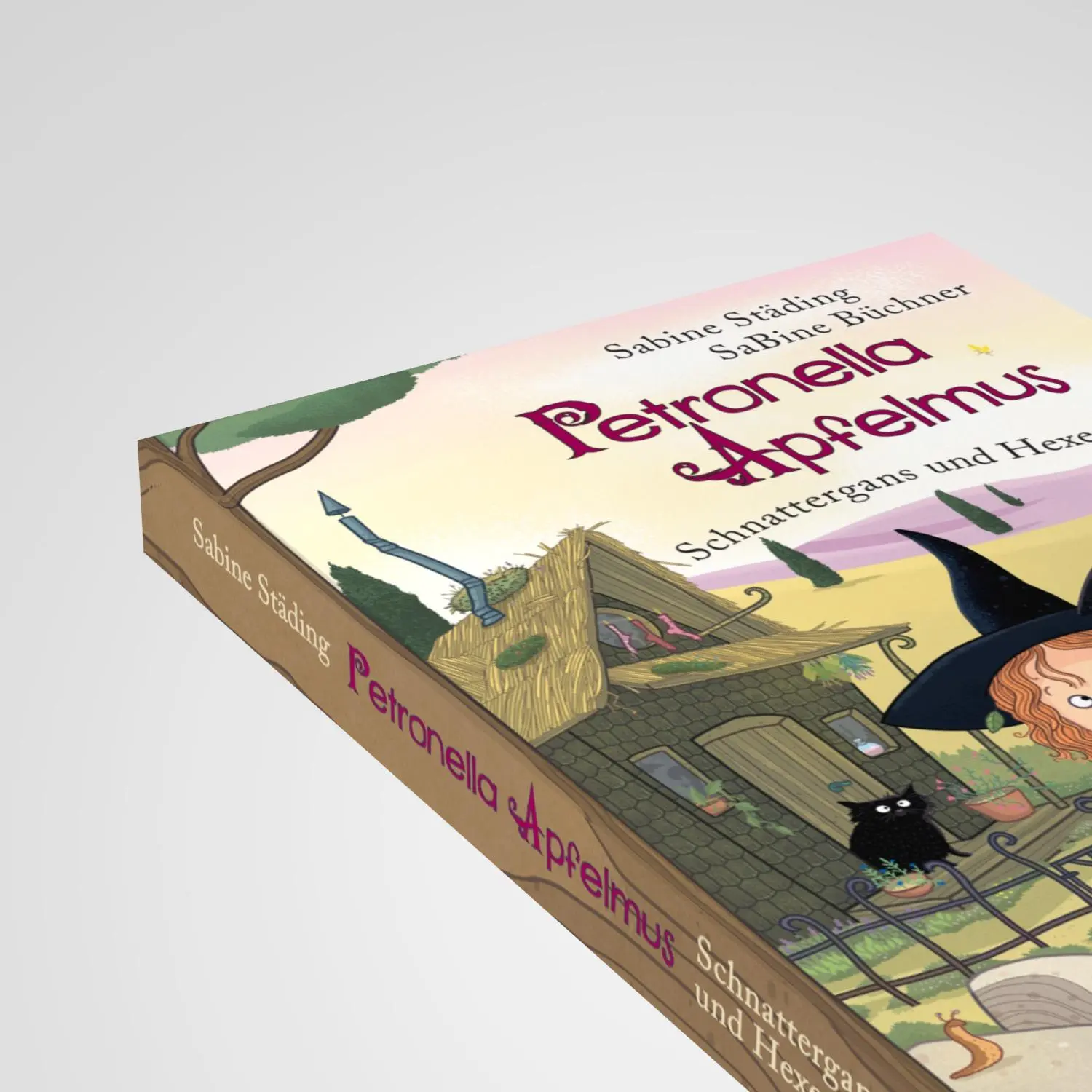 Bild: 9783833908521 | Petronella Apfelmus - Schnattergans und Hexenhaus (Sonderausgabe)