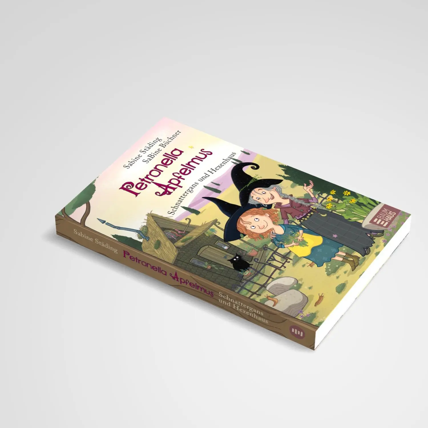 Bild: 9783833908521 | Petronella Apfelmus - Schnattergans und Hexenhaus (Sonderausgabe)