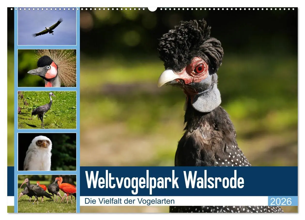 Cover: 9783457938621 | Weltvogelpark Walsrode - Die Vielfalt der Vogelarten (Wandkalender...