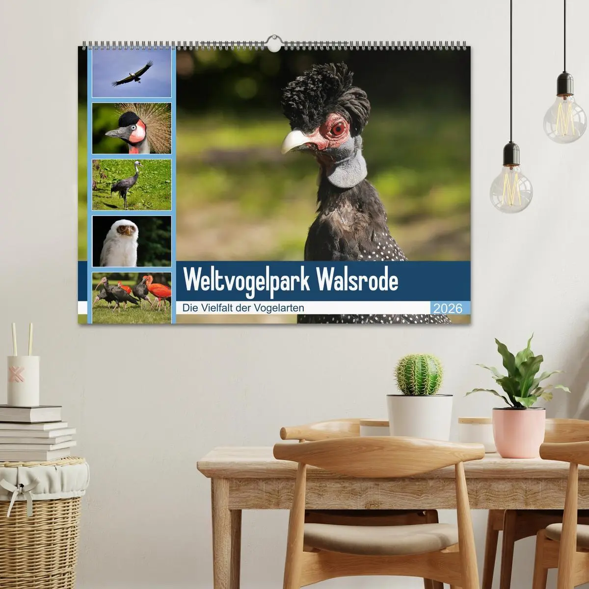 Bild: 9783457938621 | Weltvogelpark Walsrode - Die Vielfalt der Vogelarten (Wandkalender...