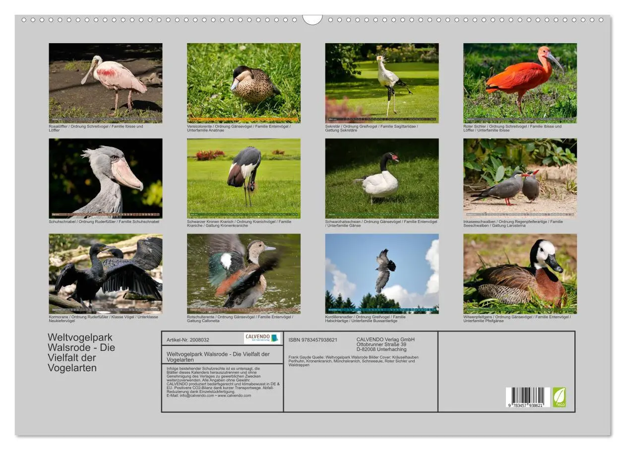 Bild: 9783457938621 | Weltvogelpark Walsrode - Die Vielfalt der Vogelarten (Wandkalender...